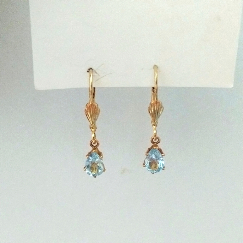 Elegant Gold and Blue Hinge Back Earrings